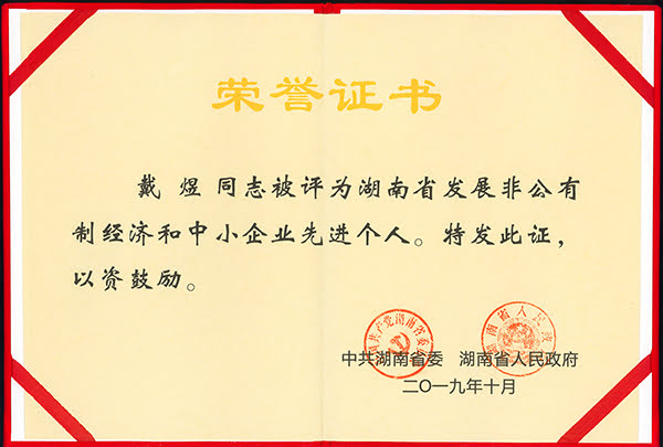 頂立科技戴煜董事長(zhǎng)獲評(píng)“湖南省發(fā)展非公經(jīng)濟(jì)先進(jìn)個(gè)人”榮譽(yù) (2).jpg